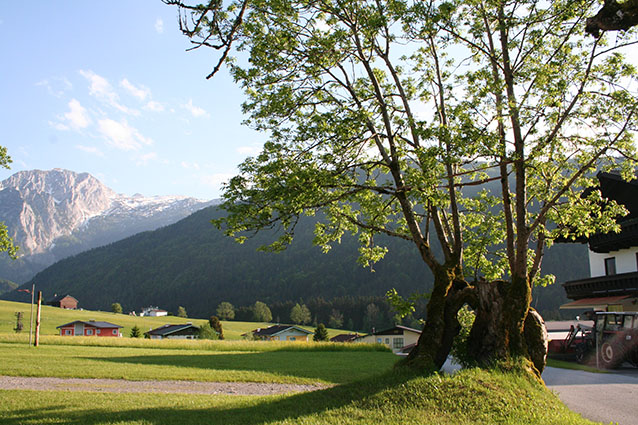 Salzburgerland Campingplatz