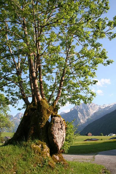 Salzburgerland Campingplatz
